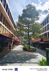 Toa Payoh Central (D12), Shop House #576099191